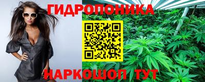 круглые Славгород