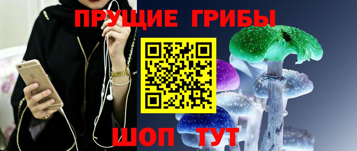 Реж  Галлюциногенные грибы Cubensis  Вход с VPN 